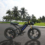VOLTUS OSP Snow Electric 750W 7 Inches 20x4.0 17.5Ah 48V Speeds Bike E-bike