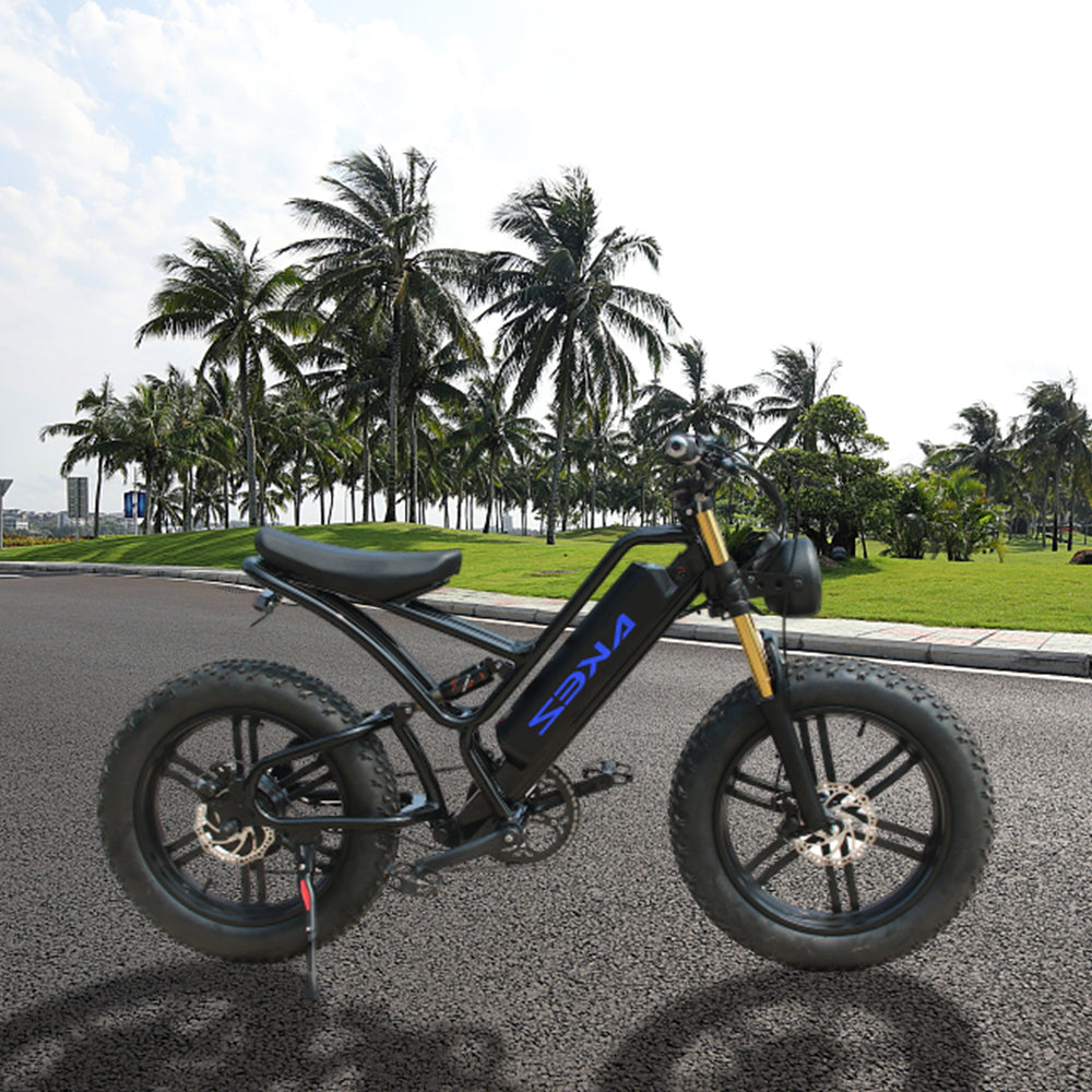 VOLTUS OSP Snow Electric 750W 7 Inches 20x4.0 17.5Ah 48V Speeds Bike E-bike