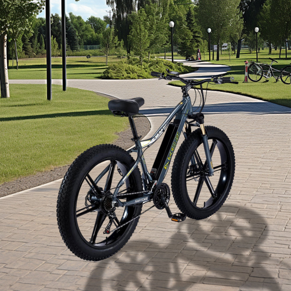 VOLTUS 750W 26-inches Electric Bicycle 48V Motorized eBike ML1P Beach Bike Snow Battery