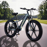 VOLTUS 750W 26-inches Electric Bicycle 48V Motorized eBike ML1P Beach Bike Snow Battery