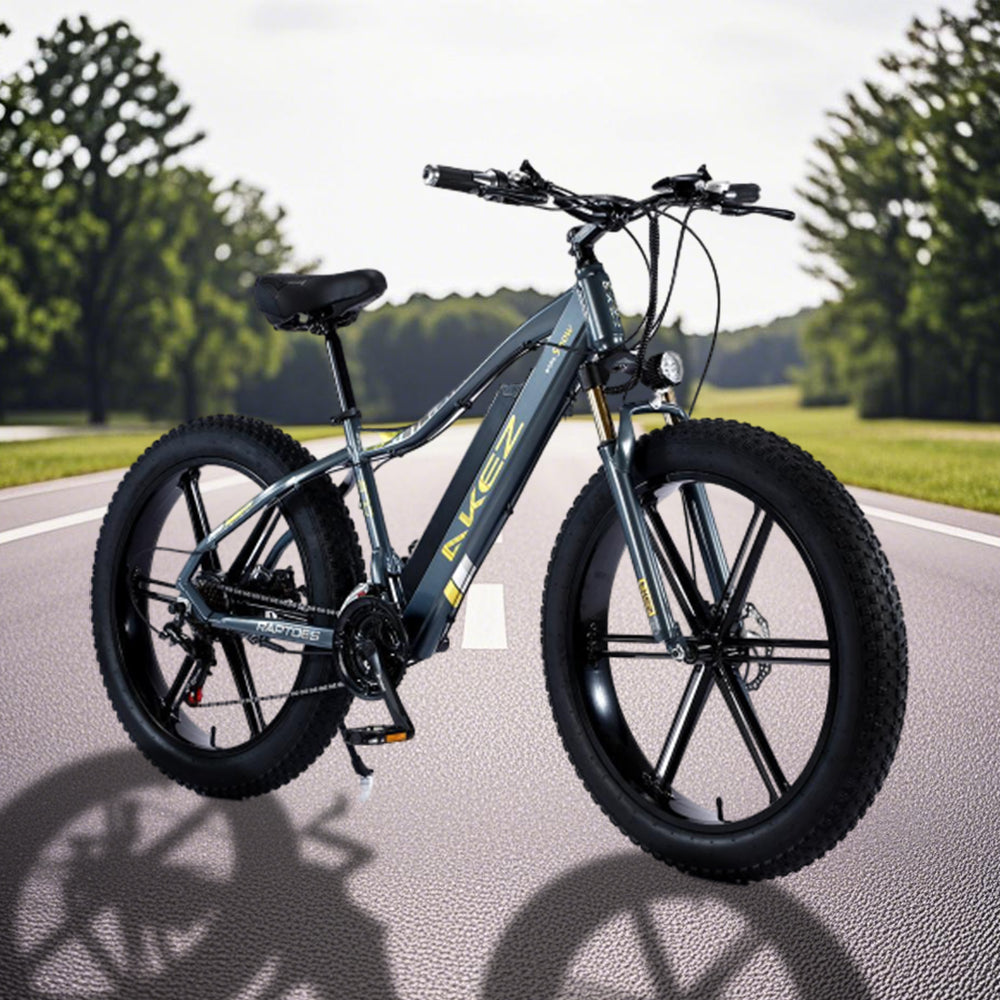 VOLTUS 750W 26-inches Electric Bicycle 48V Motorized eBike ML1P Beach Bike Snow Battery
