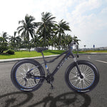 VOLTUS Cruiser eBike Motorized Bike Bicycle Beach Electric Snow 26-inch Battery