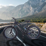 VOLTUS Cruiser eBike Motorized Bike Bicycle Beach Electric Snow 26-inch Battery
