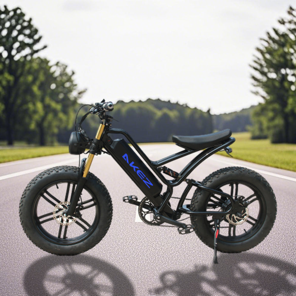 VOLTUS OSP Snow Electric 750W 7 Inches 20x4.0 17.5Ah 48V Speeds Bike E-bike