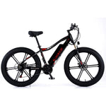 VOLTUS 750W 26-inches Electric Bicycle 48V Motorized eBike ML1P Beach Bike Snow Battery