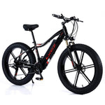 VOLTUS 750W 26-inches Electric Bicycle 48V Motorized eBike ML1P Beach Bike Snow Battery