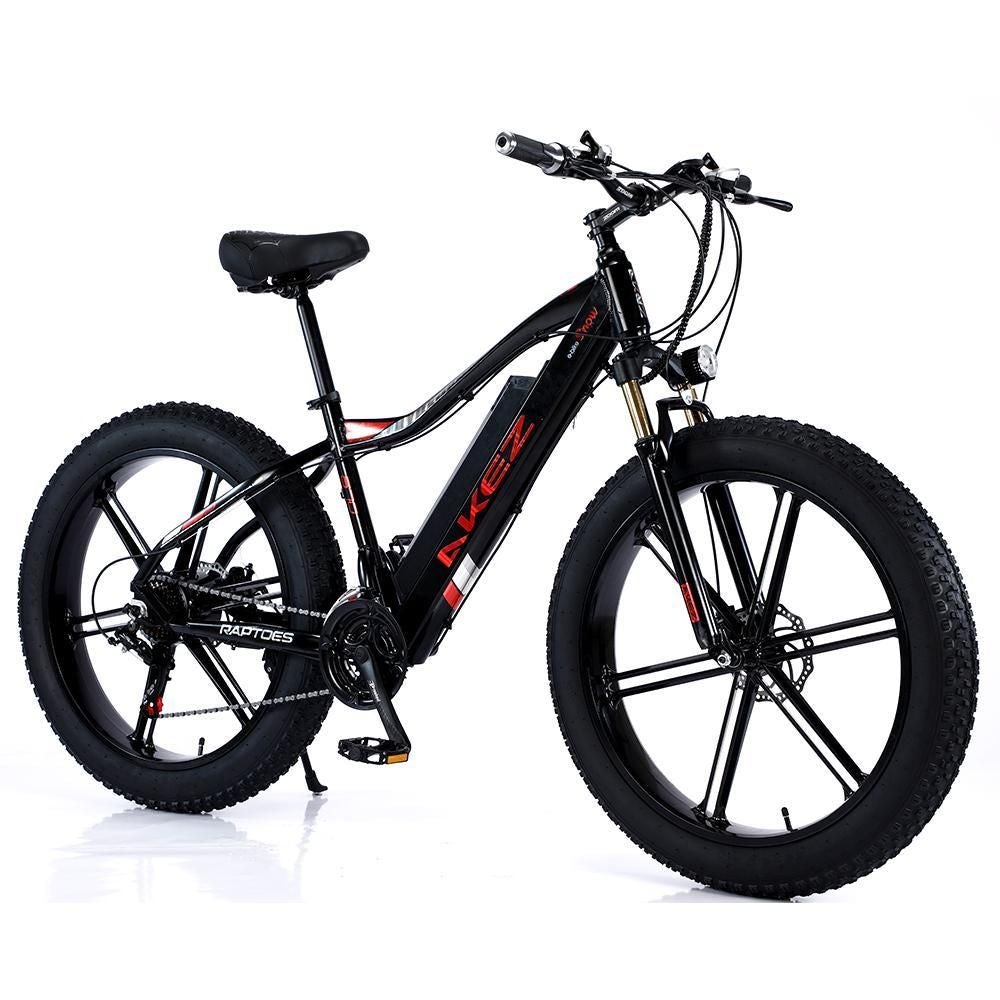 VOLTUS 750W 26-inches Electric Bicycle 48V Motorized eBike ML1P Beach Bike Snow Battery