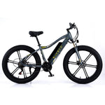 VOLTUS 750W 26-inches Electric Bicycle 48V Motorized eBike ML1P Beach Bike Snow Battery