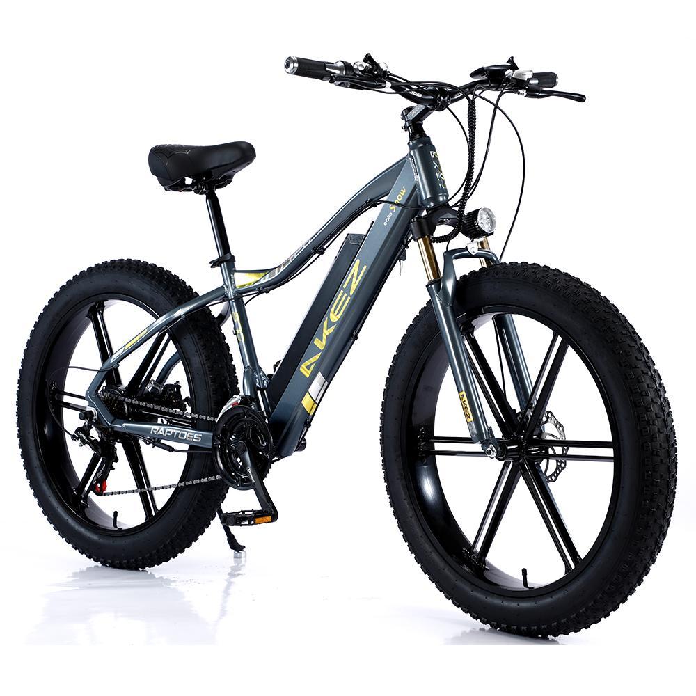 VOLTUS 750W 26-inches Electric Bicycle 48V Motorized eBike ML1P Beach Bike Snow Battery