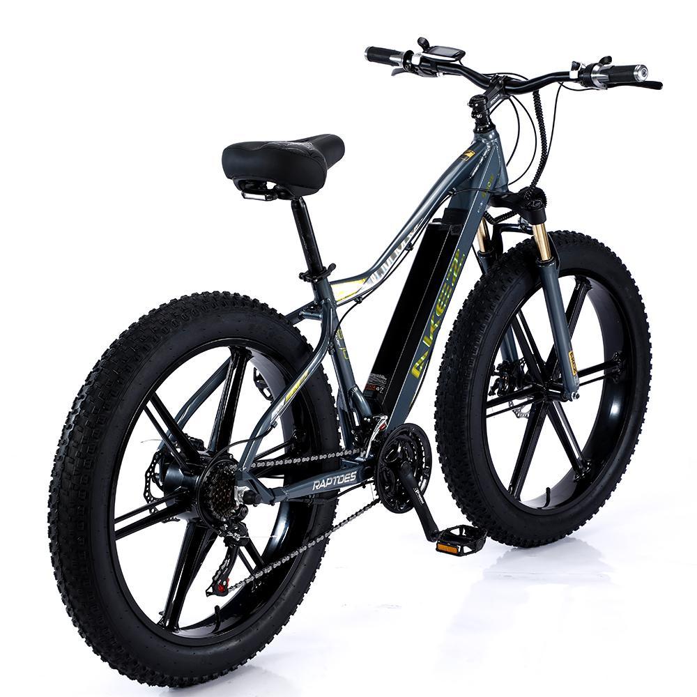 VOLTUS 750W 26-inches Electric Bicycle 48V Motorized eBike ML1P Beach Bike Snow Battery