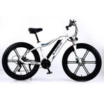 VOLTUS 750W 26-inches Electric Bicycle 48V Motorized eBike ML1P Beach Bike Snow Battery