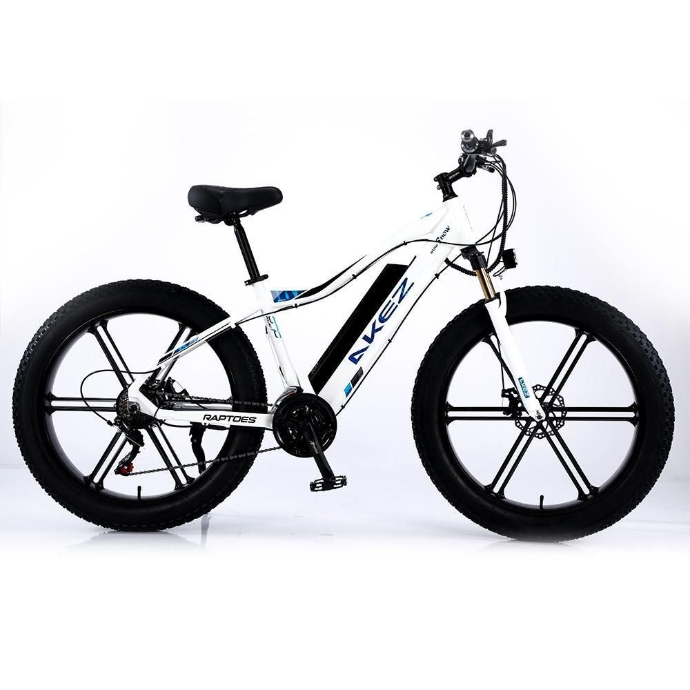 VOLTUS 750W 26-inches Electric Bicycle 48V Motorized eBike ML1P Beach Bike Snow Battery