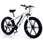 VOLTUS 750W 26-inches Electric Bicycle 48V Motorized eBike ML1P Beach Bike Snow Battery