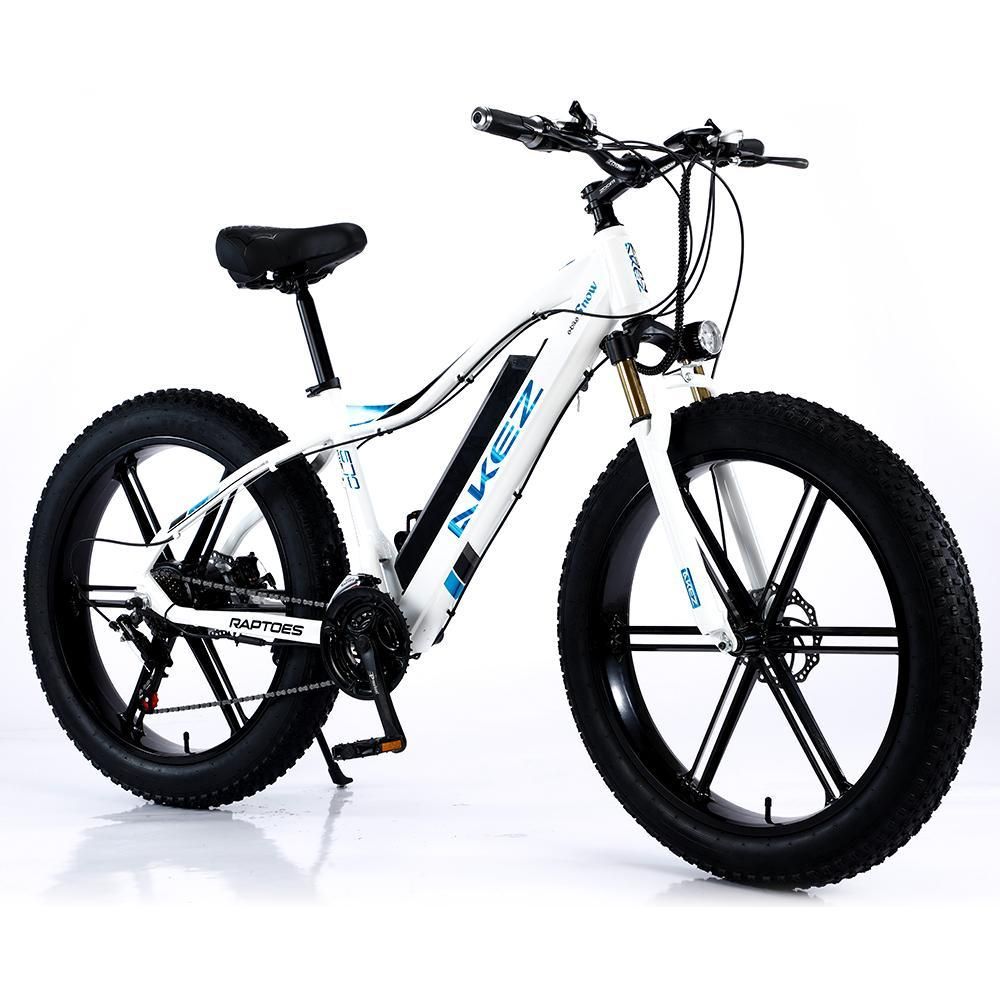 VOLTUS 750W 26-inches Electric Bicycle 48V Motorized eBike ML1P Beach Bike Snow Battery