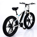 VOLTUS 750W 26-inches Electric Bicycle 48V Motorized eBike ML1P Beach Bike Snow Battery