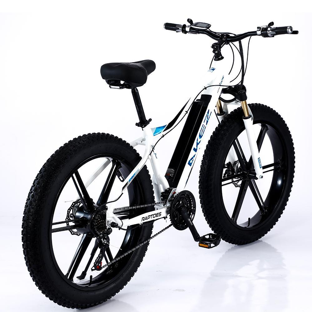 VOLTUS 750W 26-inches Electric Bicycle 48V Motorized eBike ML1P Beach Bike Snow Battery