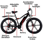VOLTUS 750W 26-inches Electric Bicycle 48V Motorized eBike ML1P Beach Bike Snow Battery