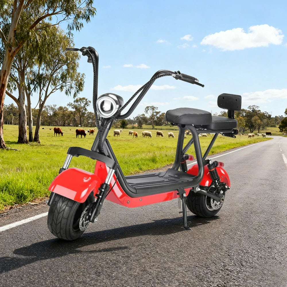 AKEZ Harley Electric Bike 48V 800W Brushless Motor, Removable Lithium Battery, 6-inch Tyres, Dual Suspension Cruise at 25km/h - Unlock More Power (Details Inside)*