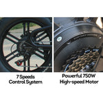 VOLTUS OSP Snow Electric 750W 7 Inches 20x4.0 17.5Ah 48V Speeds Bike E-bike