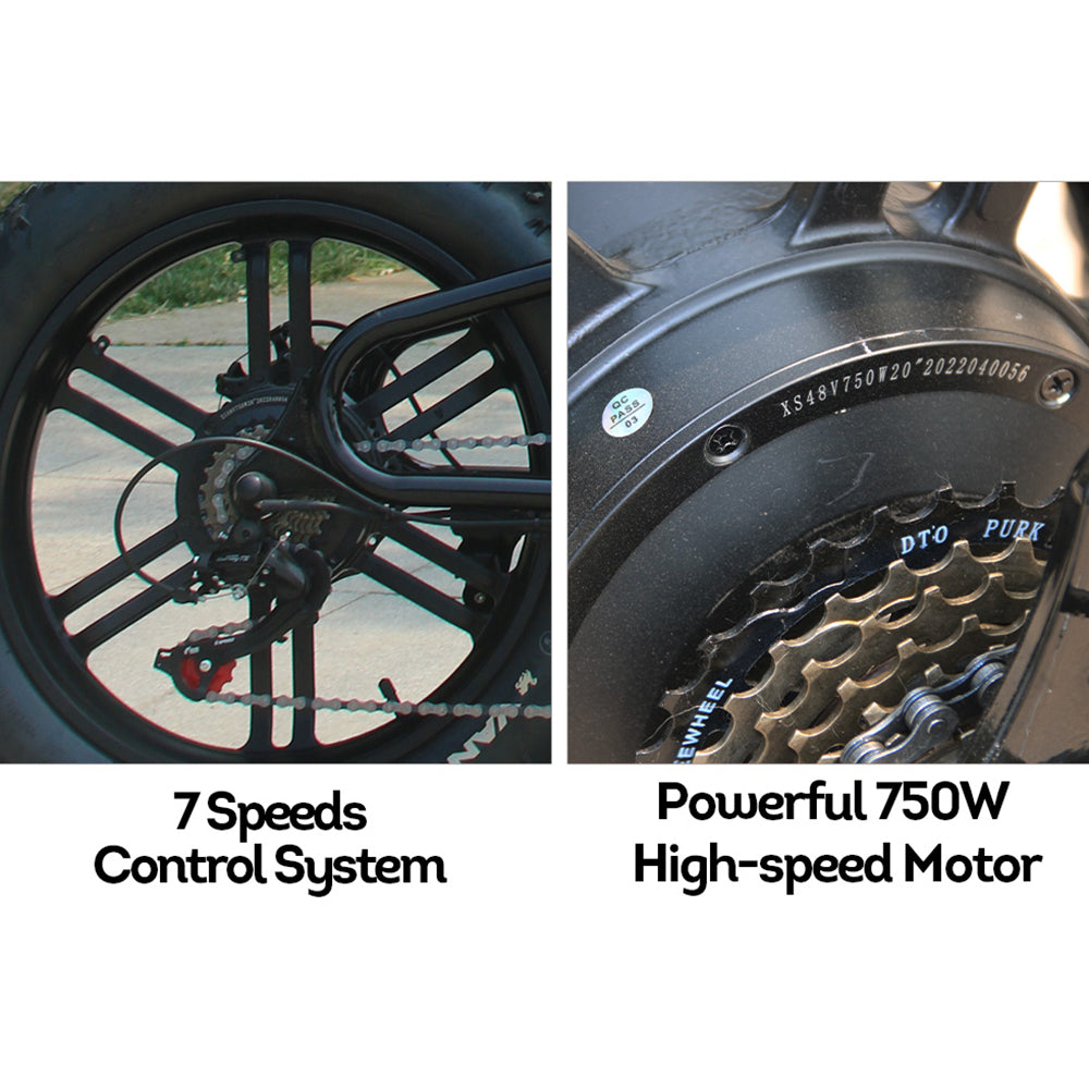 VOLTUS OSP Snow Electric 750W 7 Inches 20x4.0 17.5Ah 48V Speeds Bike E-bike