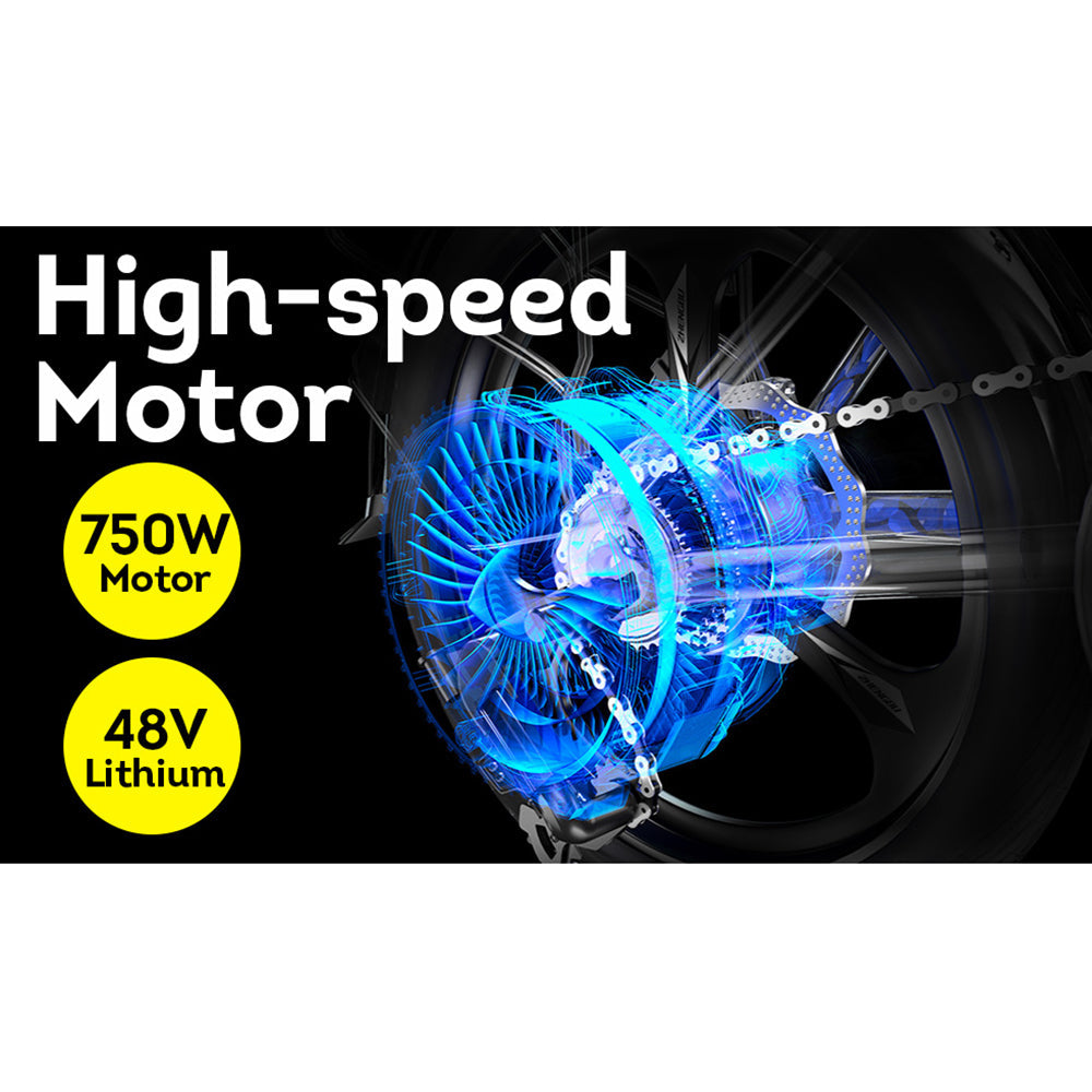 VOLTUS OSP Snow Electric 750W 7 Inches 20x4.0 17.5Ah 48V Speeds Bike E-bike