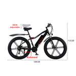 VOLTUS 750W 26-inches Electric Bicycle 48V Motorized eBike ML1P Beach Bike Snow Battery