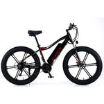 VOLTUS 750W 26-inches Electric Bicycle 48V Motorized eBike ML1P Beach Bike Snow Battery