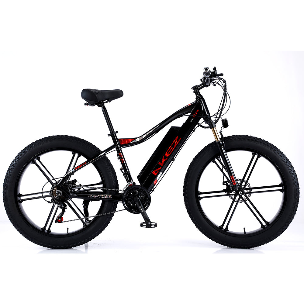 VOLTUS 750W 26-inches Electric Bicycle 48V Motorized eBike ML1P Beach Bike Snow Battery