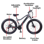 VOLTUS Cruiser eBike Motorized Bike Bicycle Beach Electric Snow 26-inch Battery