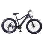 VOLTUS Cruiser eBike Motorized Bike Bicycle Beach Electric Snow 26-inch Battery