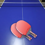 DHS 8-Star with Pong Racket Table Paddle/ Balls Ping Tennis Racket 8002/8006