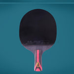 DHS 8-Star with Pong Racket Table Paddle/ Balls Ping Tennis Racket 8002/8006
