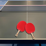 DHS 9-Star Or Paddle/ Penhold Ping Tennis Balls Racket Pong Table Grip Shakehand with Racket Grip