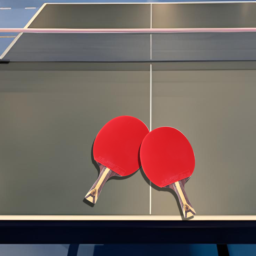 DHS 9-Star Or Paddle/ Penhold Ping Tennis Balls Racket Pong Table Grip Shakehand with Racket Grip