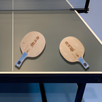 DHS Professional Tennis Table Ma Long - Long Racket Hurricane Championship 5 Edition