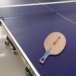 DHS Professional Tennis Table Ma Long - Long Racket Hurricane Championship 5 Edition