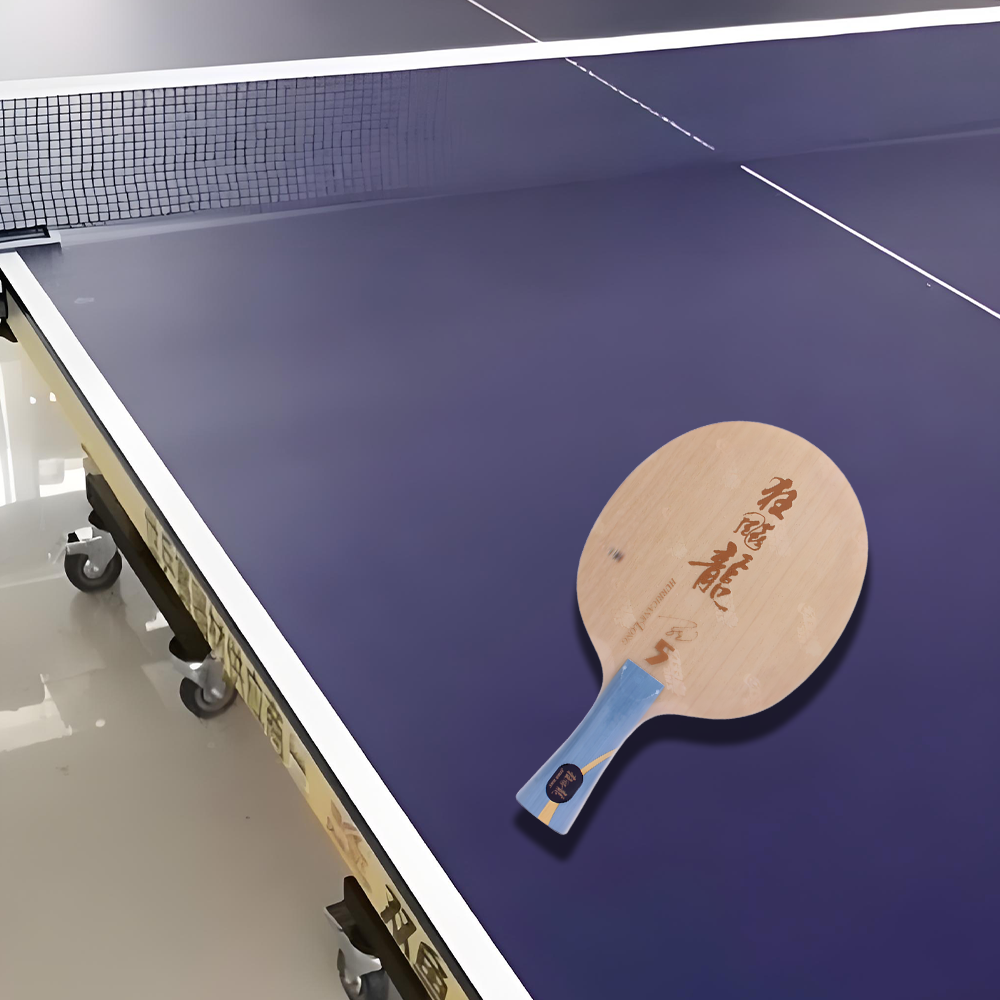 DHS Professional Tennis Table Ma Long - Long Racket Hurricane Championship 5 Edition