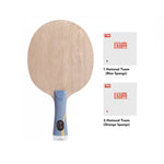 DHS Professional Tennis Table Ma Long - Long Racket Hurricane Championship 5 Edition