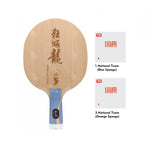 DHS Professional Tennis Table Ma Long - Long Racket Hurricane Championship 5 Edition