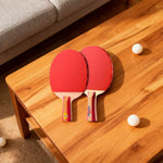 DHS Type II Kids Table Tennis Set -Two Shakehand Paddles with 6 Balls and Case, Easy Handling for Play and Practice -Red