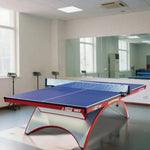 DHS NEORB&GOLDRB Premium Black&Blue Bats - Table Indoor Tennis Table 25mm Pingpong Balls Net