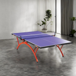 DHS T2828 Balls Table Indoor 18mm Tennis Bats Pingpong Table - Blue Net