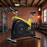 FITPRO Indoor - 300kg Spin Cycling Drive, Belt Flywheel, Bike Resistance, Stepless 18kg Capacity