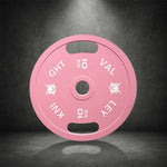 FITPRO Dual-Finish Plate Matte - Handles - Chrome Ergonomic Weight Grip Texture, 10kg, Pink