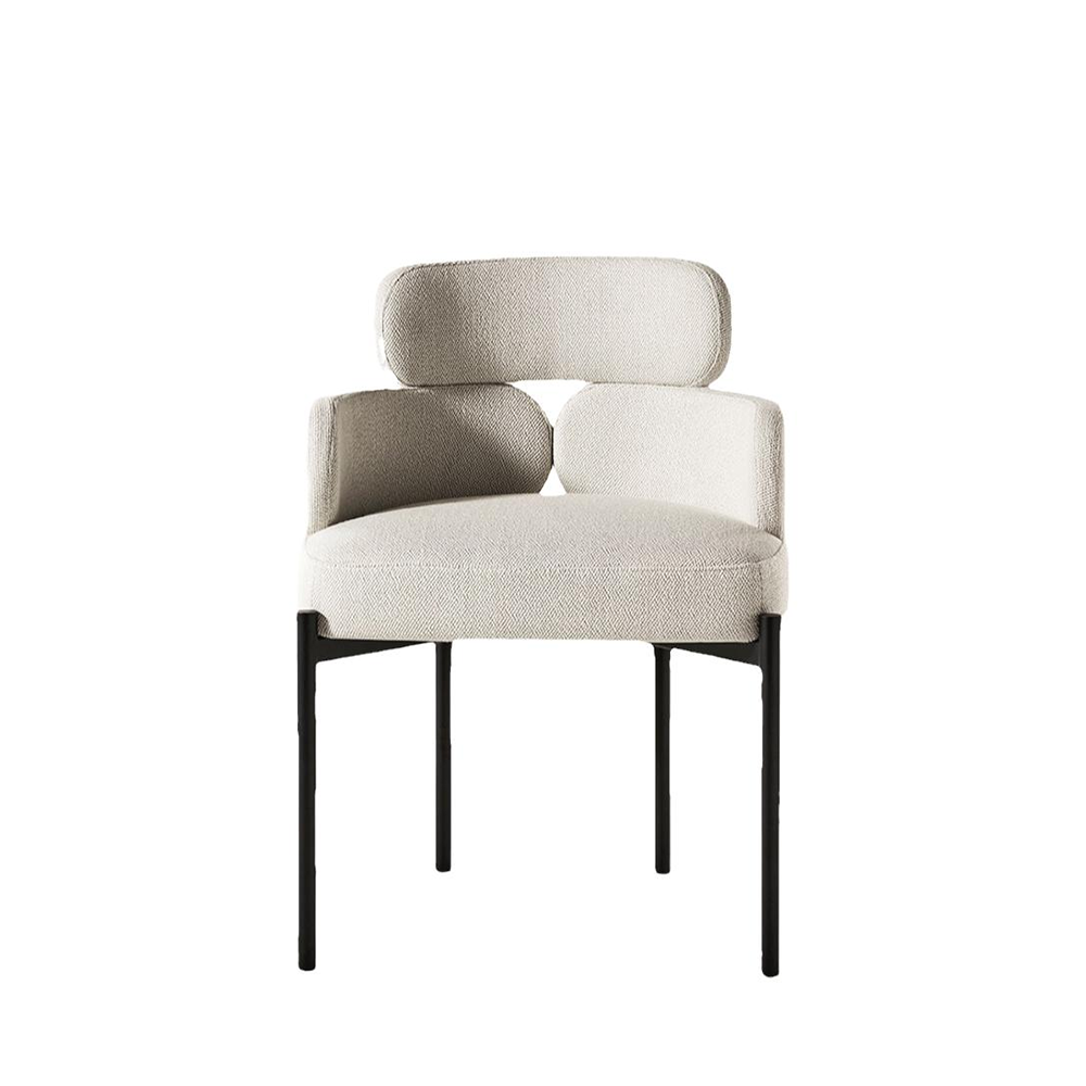 LIVARA DC1057 Carbon Simple Dining Steel and Chair Stylish Legs