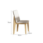LIVARA DC1062 Dining Wood Minimalist Ash Style Chair Modern Frame