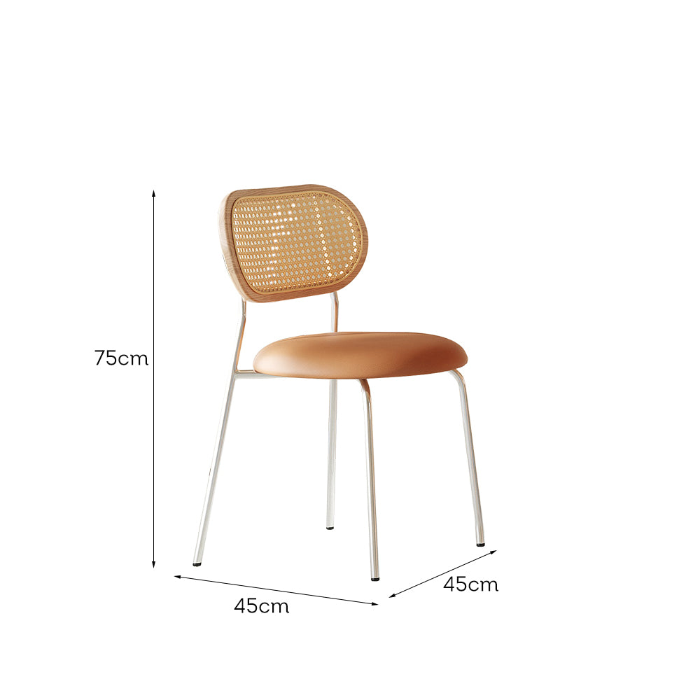 LIVARA DC1066 Steel Style Chair Stainless Dining Minimalist Legs