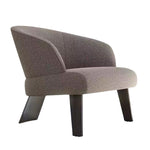 LIVARA EC1005 Titanium Frame High-End Design Wooden Steel Black Leisure Chair