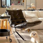 LIVARA EC1029 Steel Down Fiber Stainless Leather Feather Leisure Ultra Chair
