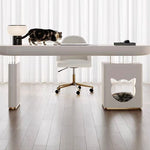 LUXORA DR1070 120/140/160/180cm Painted Minimalist Style Desk